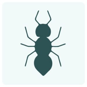 formic_ai_logo
