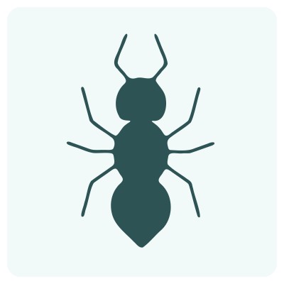 formic_ai_logo